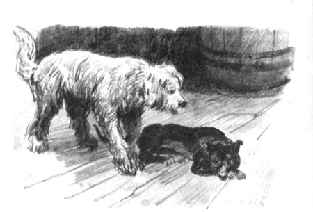 Иллюстрация к рассказу Куприна 'Барбос и Жулька'
