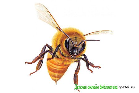 Иллюстрация к стихотворению Пчелка